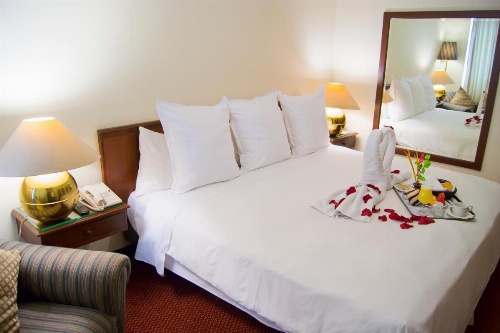 Hotel Carrera image 28